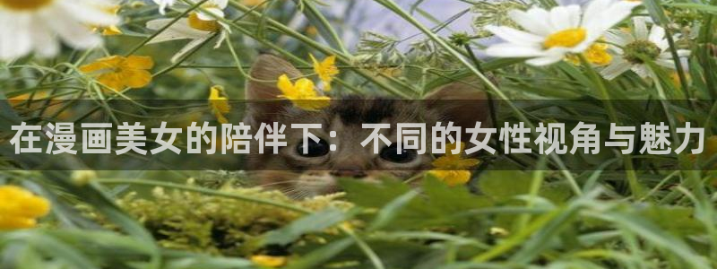 歪歪漫画在线观看完整免费：在漫画美女的陪伴下：不同的女性视角与魅力